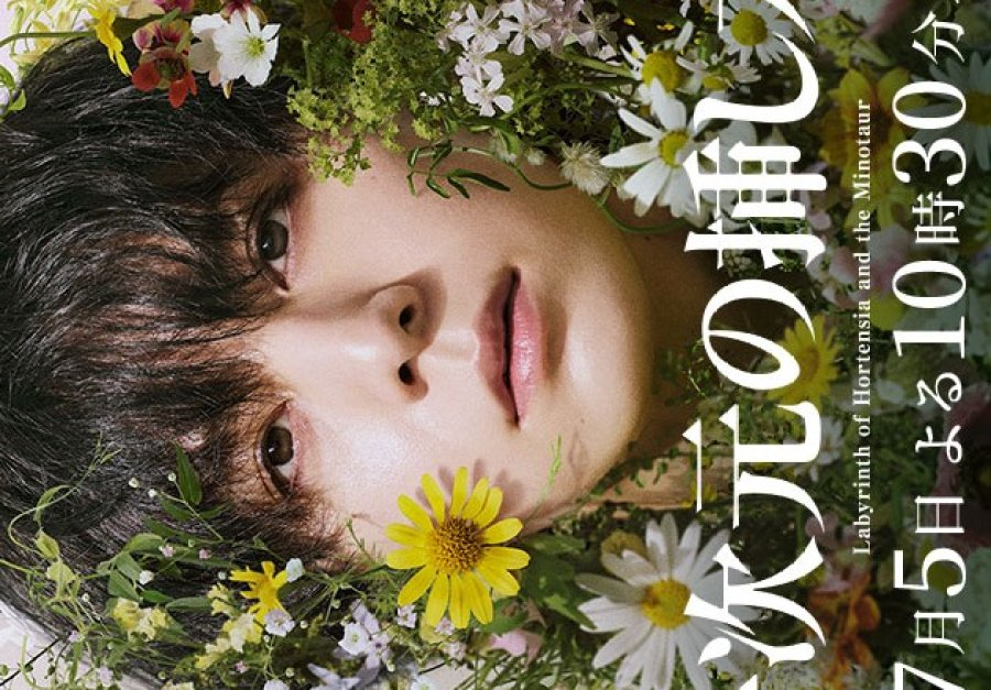 Labyrinth of Hortensia and the Minotaur (2026)